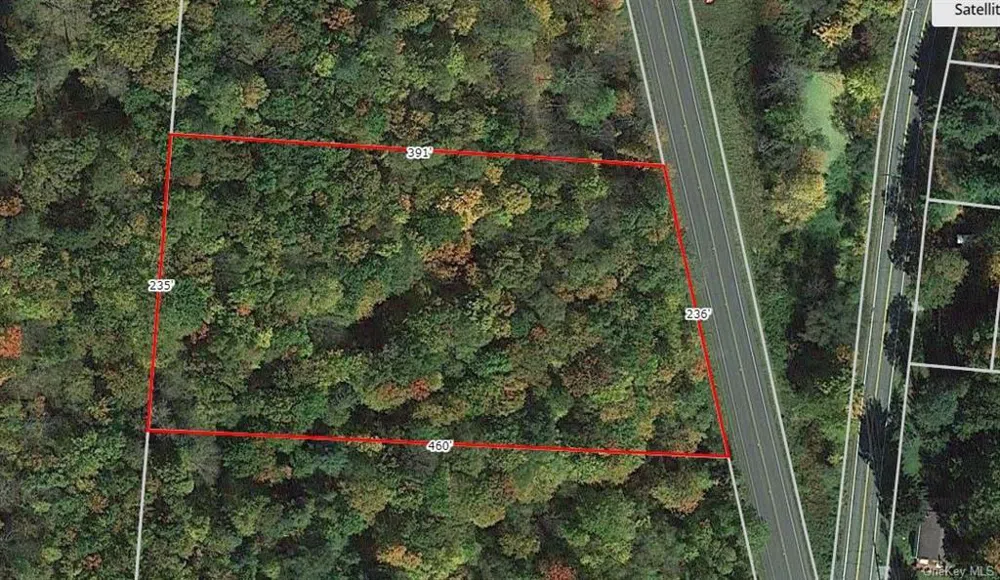 2.-1-32.7 State Route 17B Cochecton, NY 12726