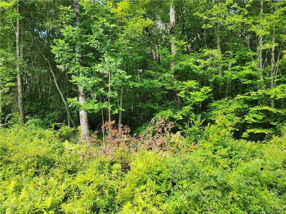 2.-1-32.7 State Route 17B Cochecton, NY 12726