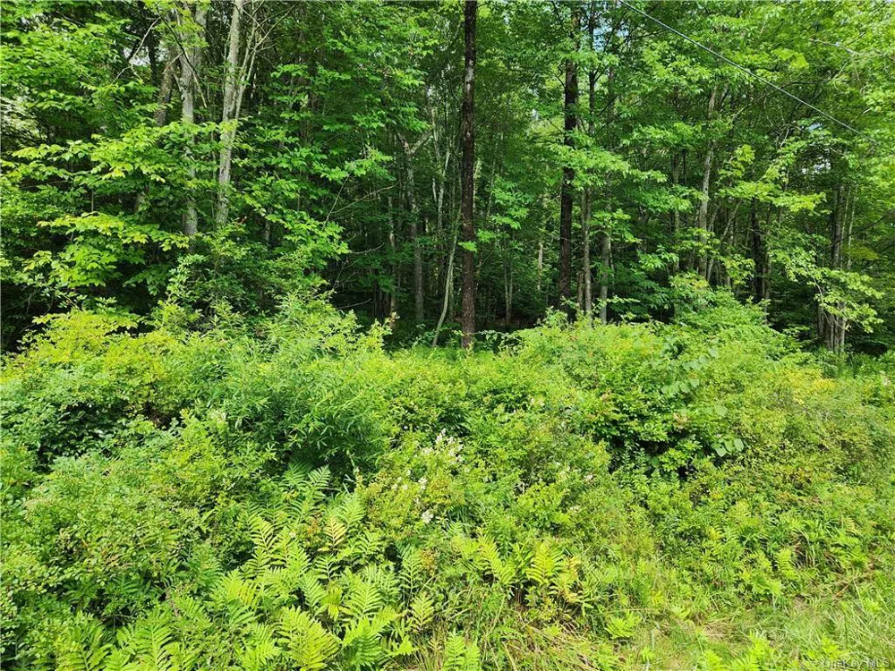 2.-1-32.7 State Route 17B Cochecton, NY 12726