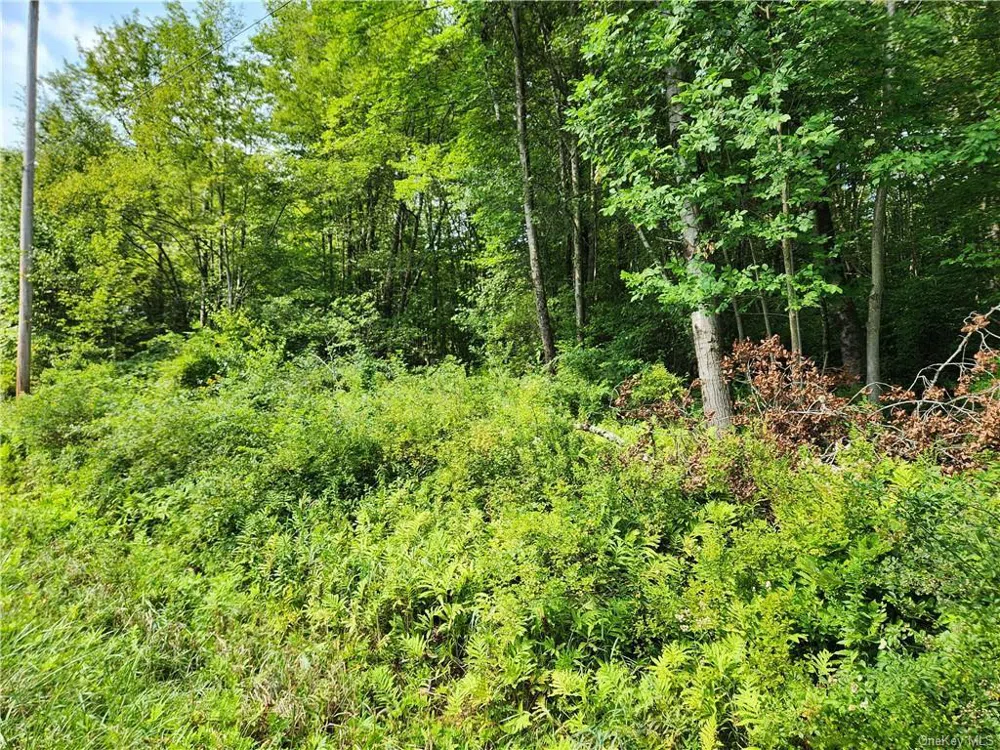 2.-1-32.7 State Route 17B Cochecton, NY 12726