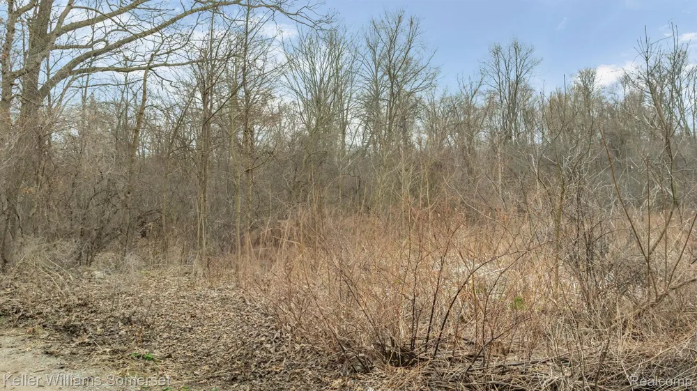 Lakeview Drive White Lake Charter Township, MI 48386