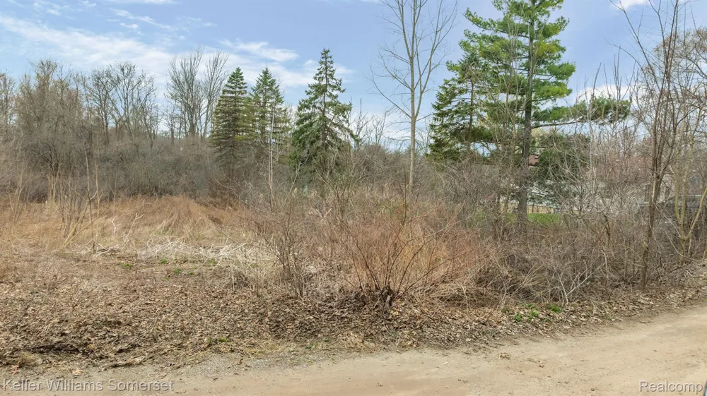 Lakeview Drive White Lake Charter Township, MI 48386