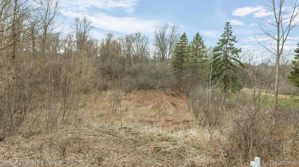Lakeview Drive White Lake Charter Township, MI 48386