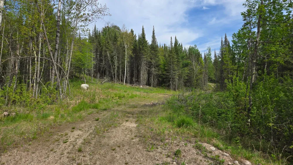 7316 Crane Lake Road Crane Lake, MN 55725