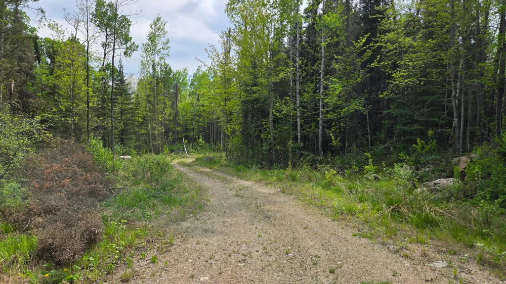 7316 Crane Lake Road Crane Lake, MN 55725