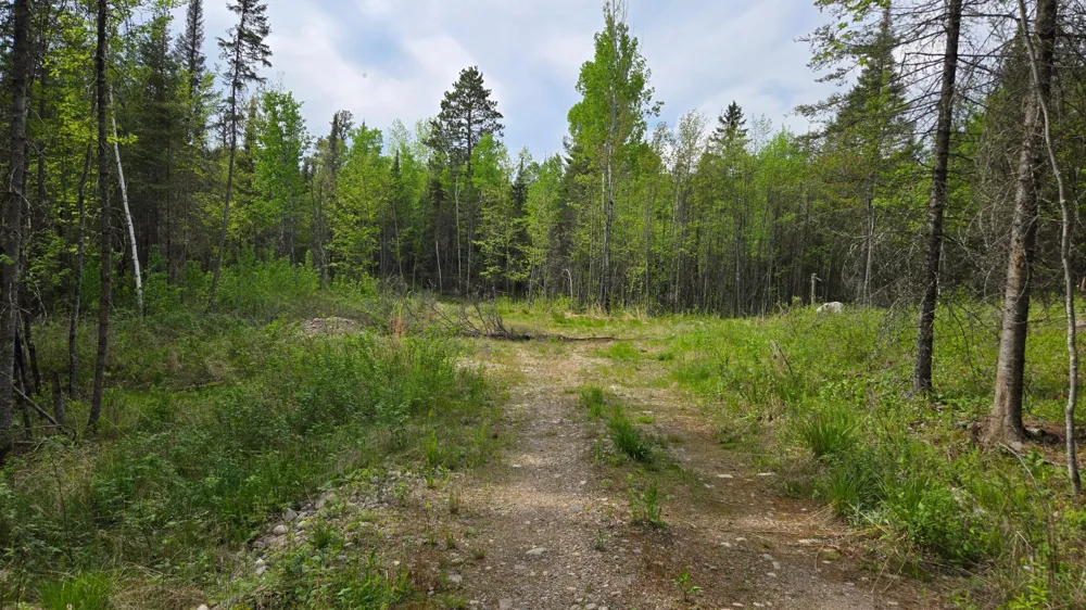 7316 Crane Lake Road Crane Lake, MN 55725