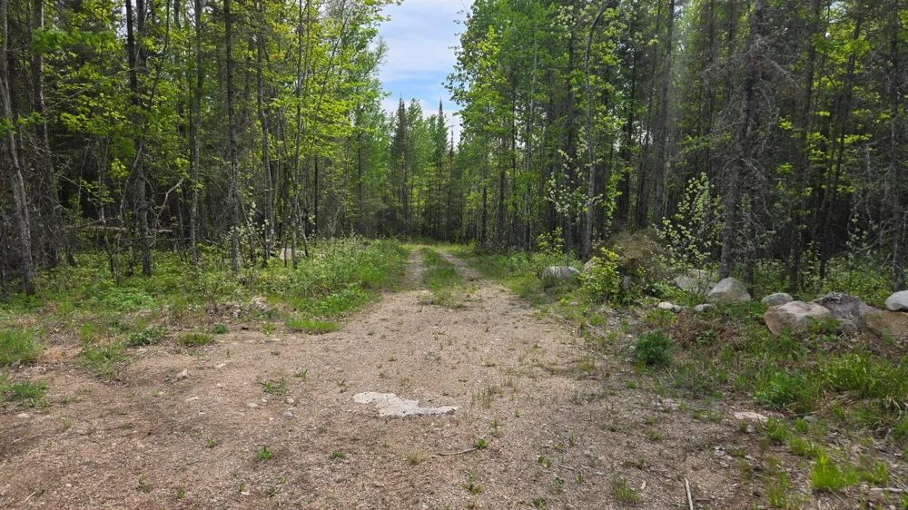 7316 Crane Lake Road Crane Lake, MN 55725