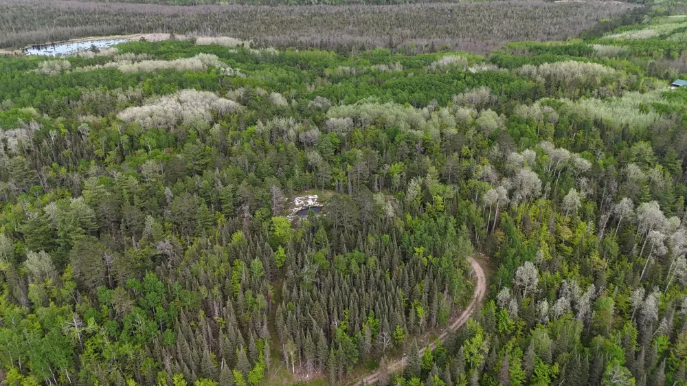 7316 Crane Lake Road Crane Lake, MN 55725