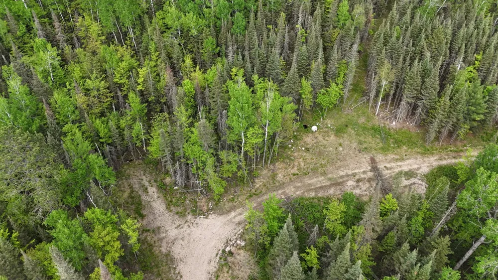 7316 Crane Lake Road Crane Lake, MN 55725