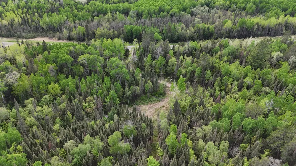 7316 Crane Lake Road Crane Lake, MN 55725