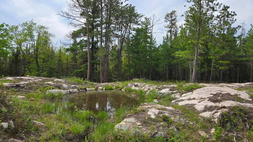7316 Crane Lake Road Crane Lake, MN 55725