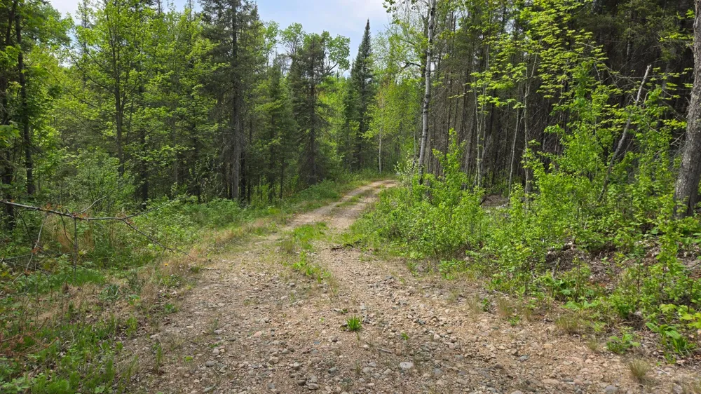 7316 Crane Lake Road Crane Lake, MN 55725
