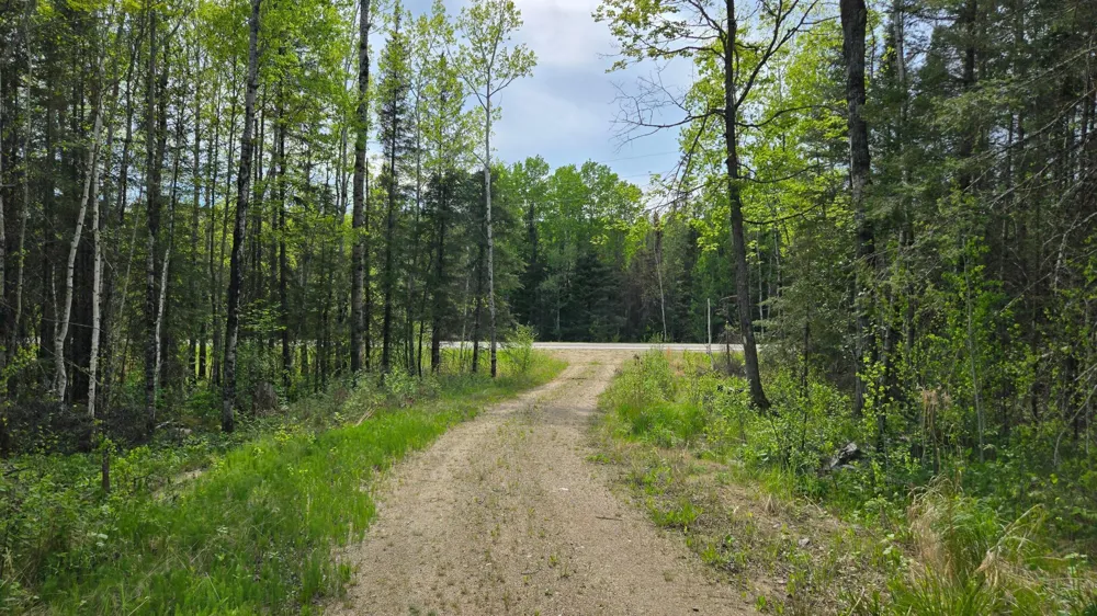 7316 Crane Lake Road Crane Lake, MN 55725