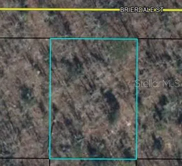 Lot 3 BRIERDALE STREET Chipley, FL 32428