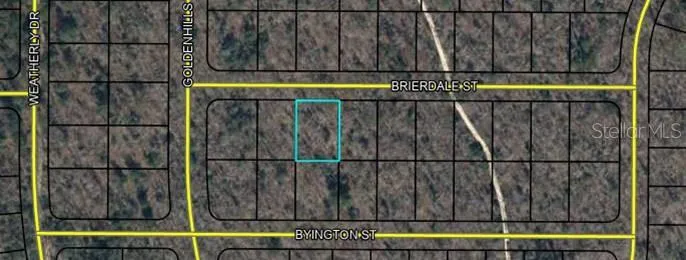 Lot 3 BRIERDALE STREET Chipley, FL 32428