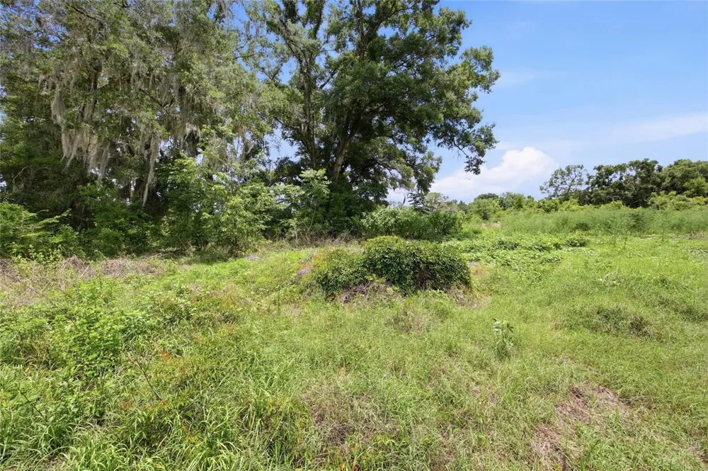 12630 U.S. 441 Belleview, FL 34420