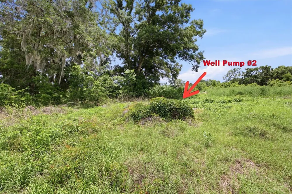 12630 U.S. 441 Belleview, FL 34420