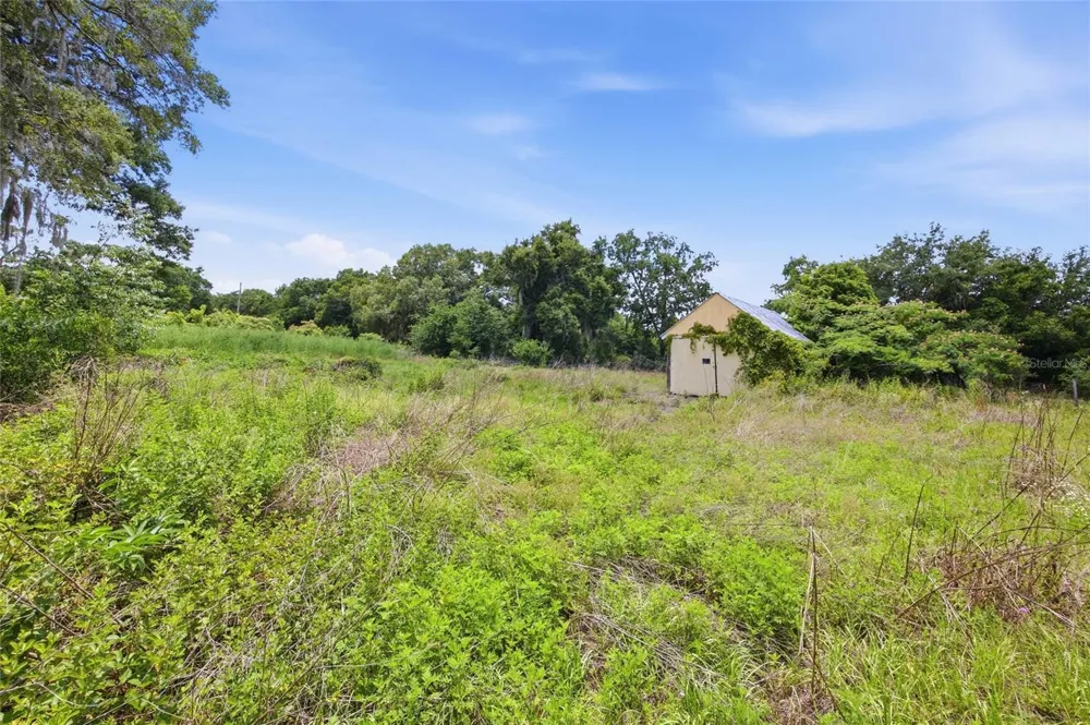 12630 U.S. 441 Belleview, FL 34420
