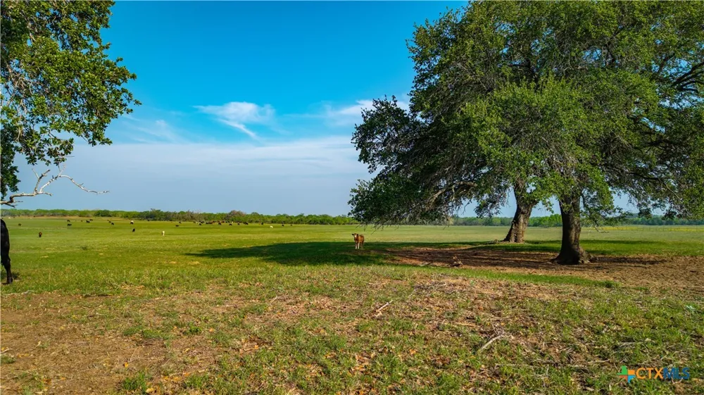 County Road 404 Floresville, TX 78114