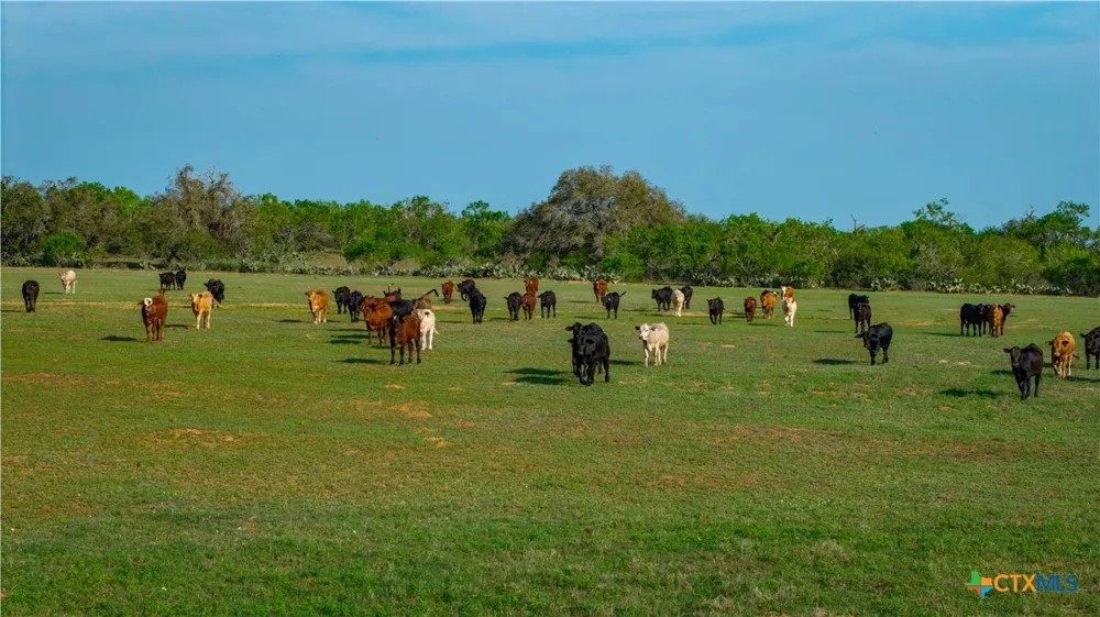 County Road 404 Floresville, TX 78114