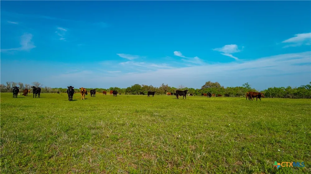 County Road 404 Floresville, TX 78114