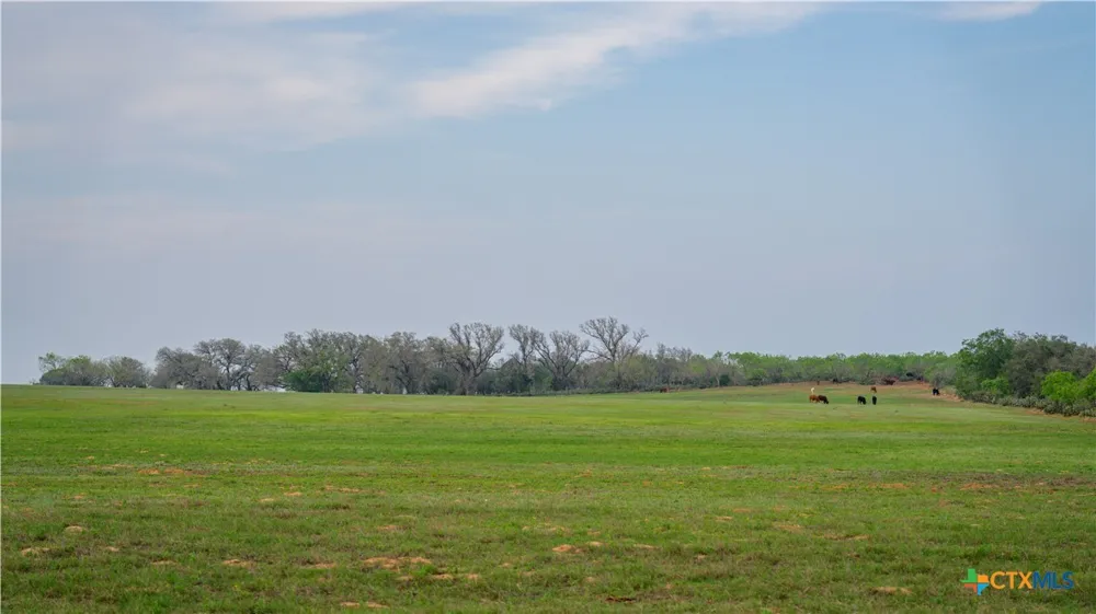 County Road 404 Floresville, TX 78114