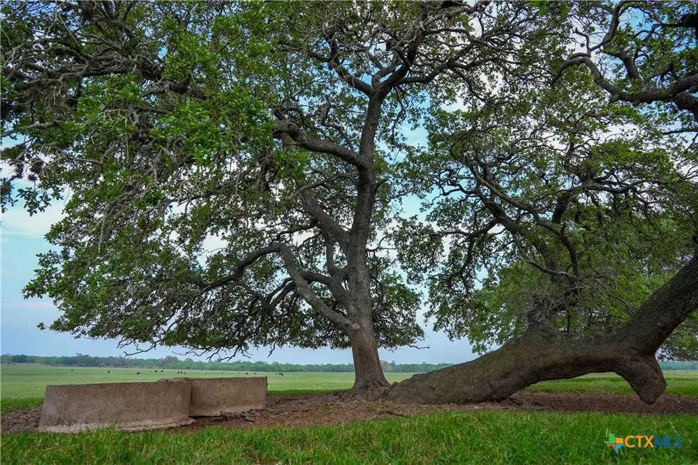 County Road 404 Floresville, TX 78114