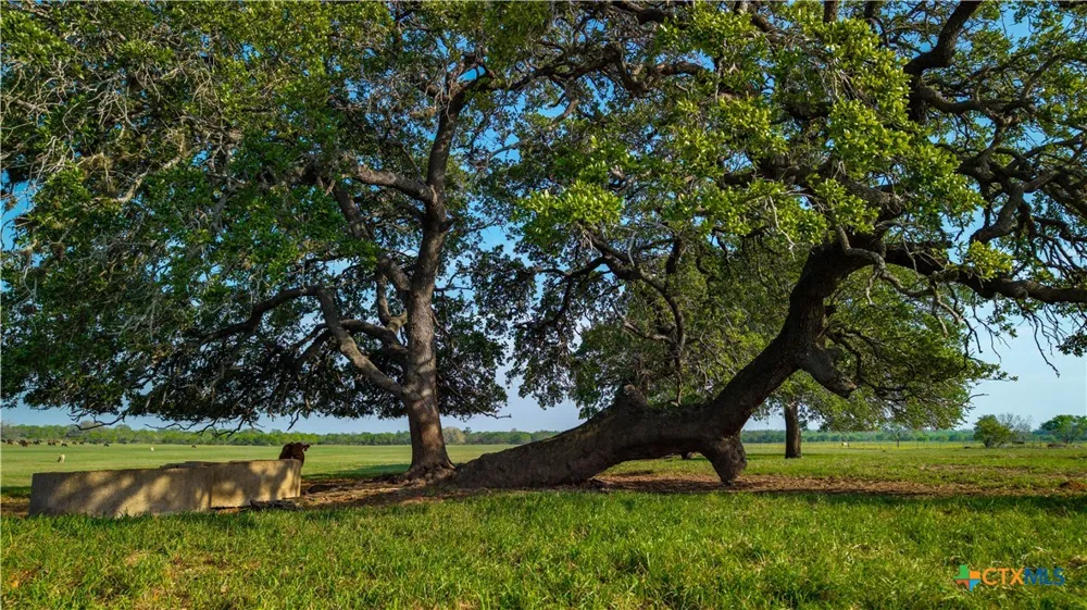 County Road 404 Floresville, TX 78114