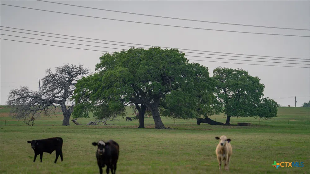 County Road 404 Floresville, TX 78114