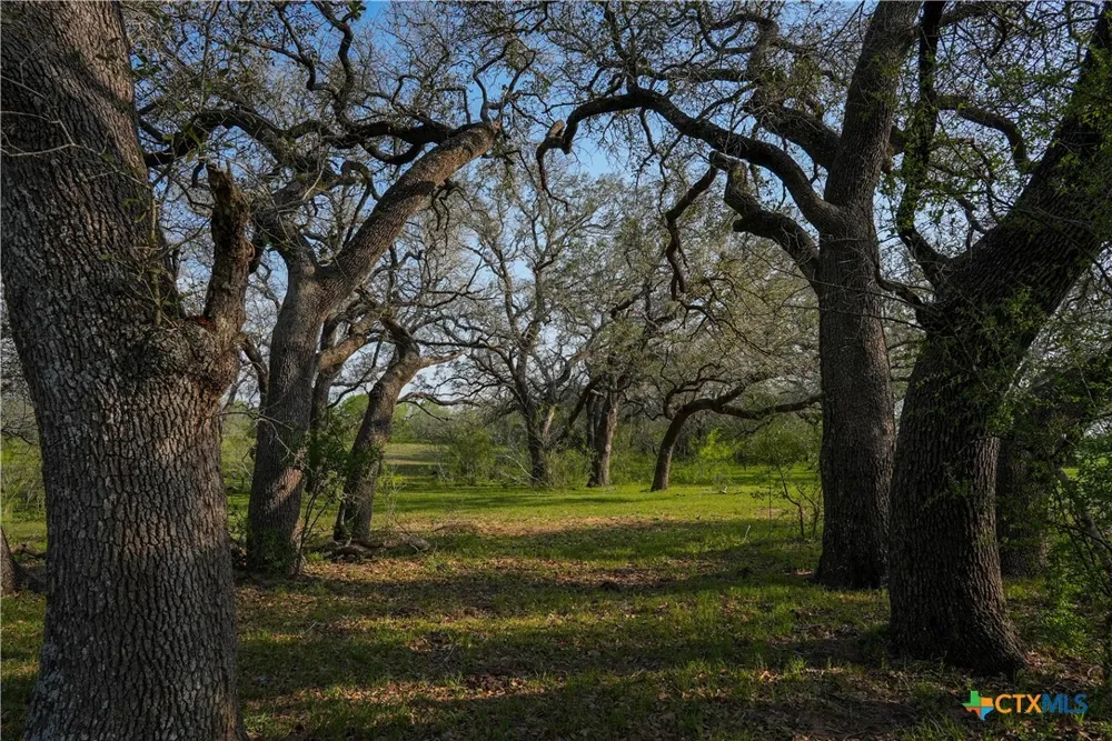 County Road 404 Floresville, TX 78114