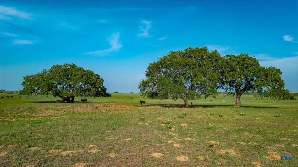 County Road 404 Floresville, TX 78114