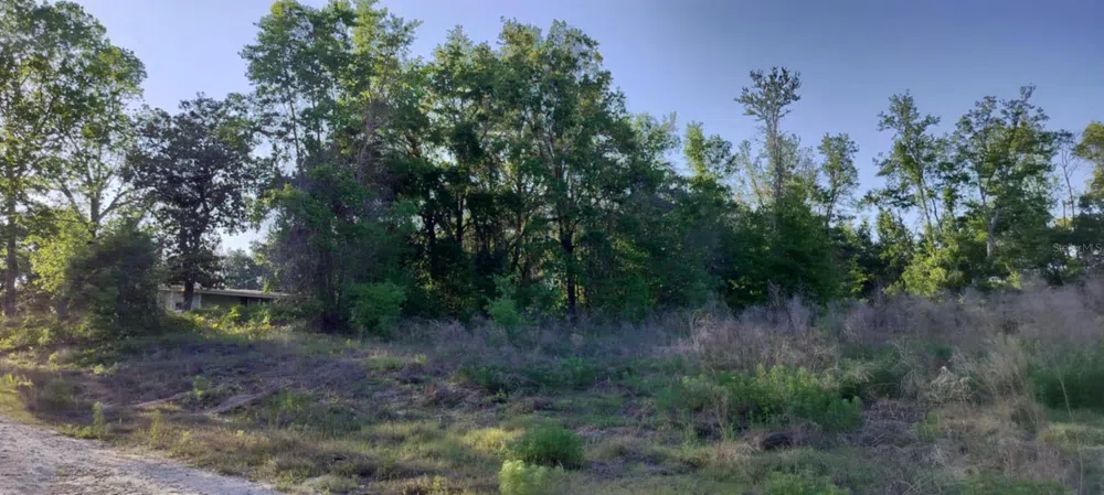 2808 VAN BUREN STREET W Inverness, FL 34453
