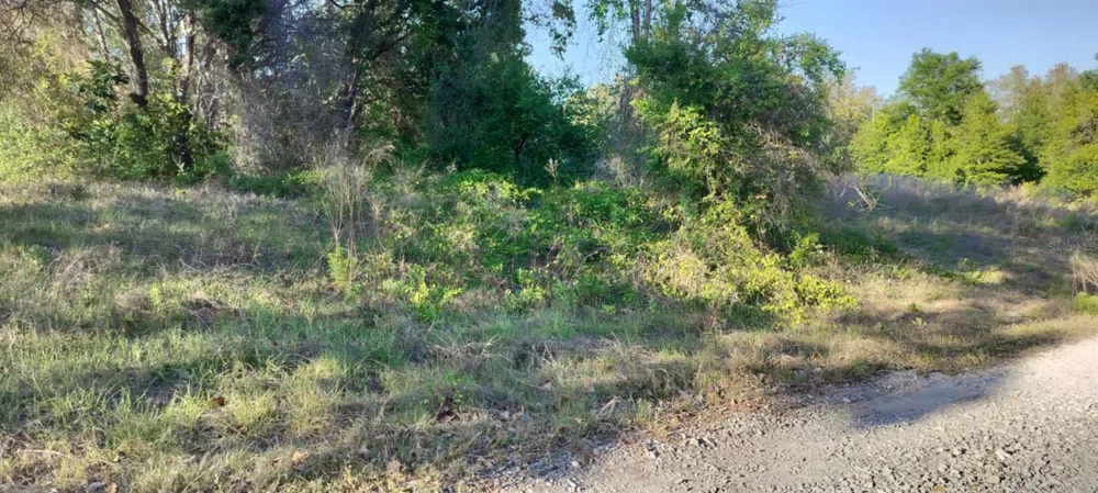 2808 VAN BUREN STREET W Inverness, FL 34453