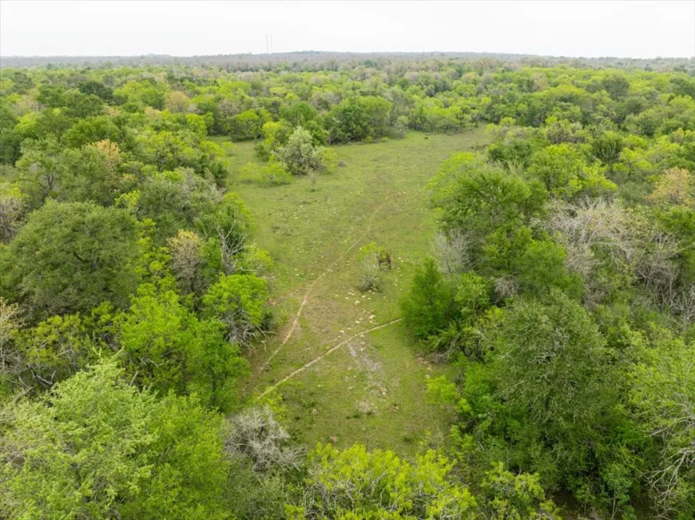 350 Mineral Springs Road Lockhart, TX 78644