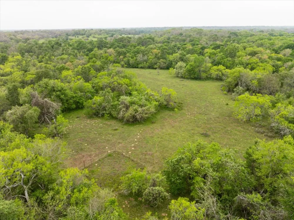 350 Mineral Springs Road Lockhart, TX 78644