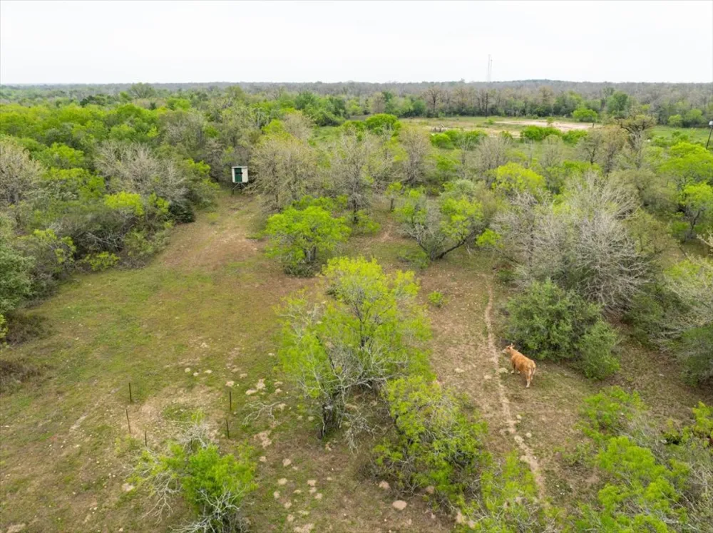 350 Mineral Springs Road Lockhart, TX 78644