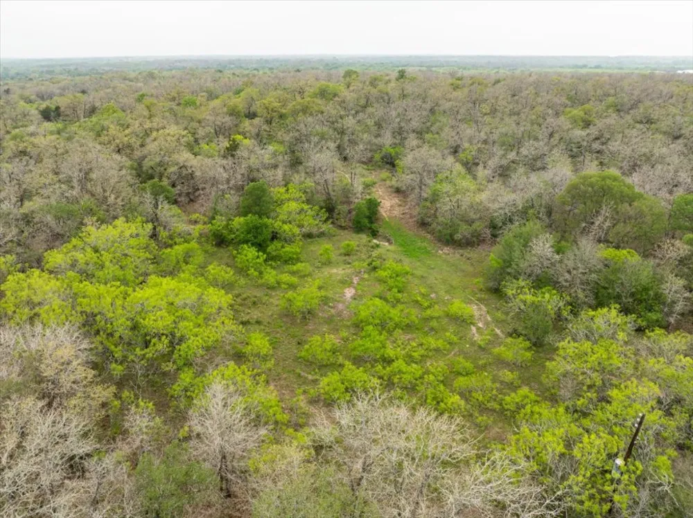 350 Mineral Springs Road Lockhart, TX 78644