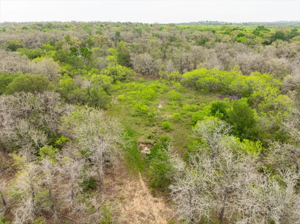 350 Mineral Springs Road Lockhart, TX 78644