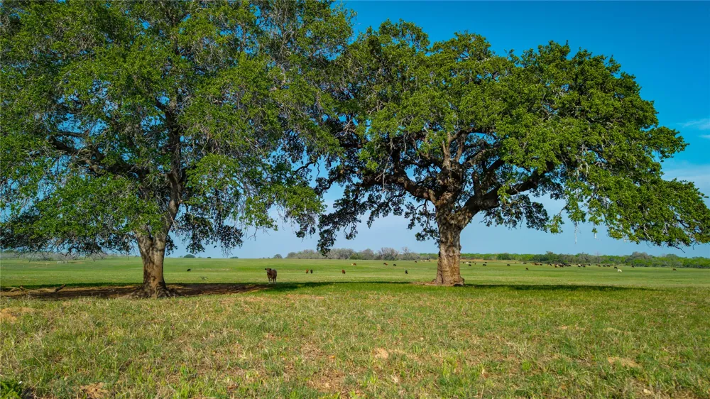 County Road 404 Floresville, TX 78114