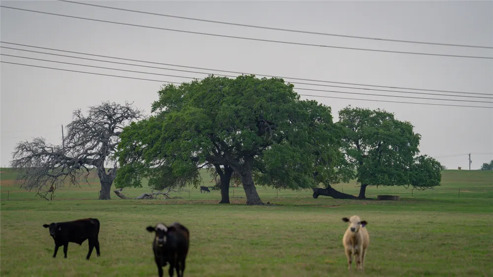 County Road 404 Floresville, TX 78114