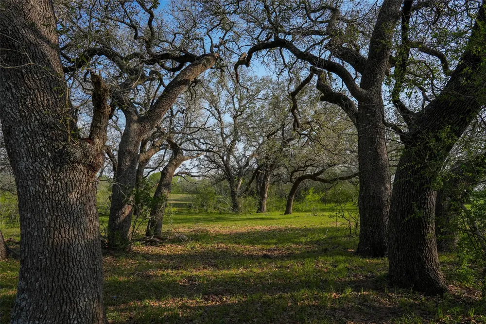 County Road 404 Floresville, TX 78114