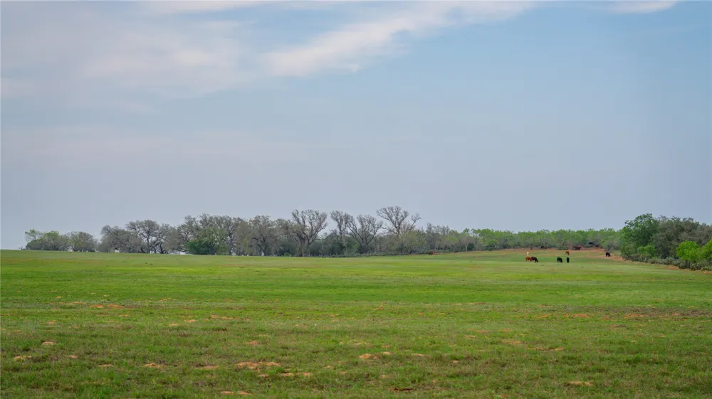 County Road 404 Floresville, TX 78114