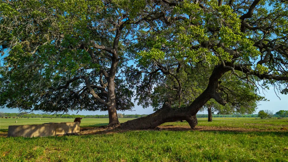 County Road 404 Floresville, TX 78114