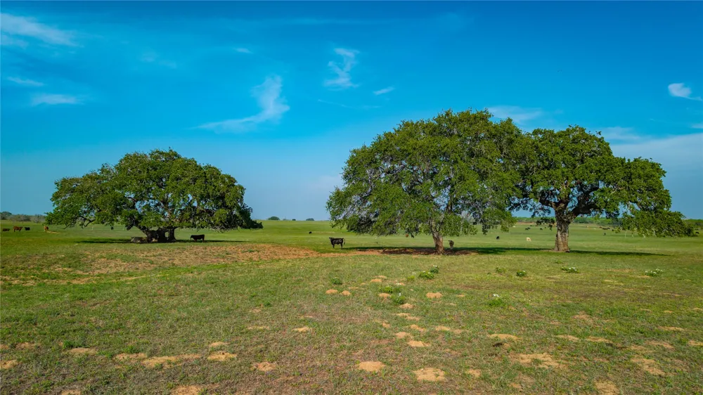 County Road 404 Floresville, TX 78114