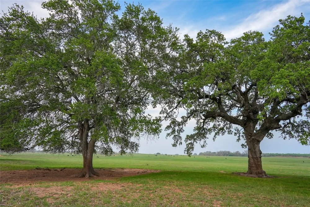 County Road 404 Floresville, TX 78114