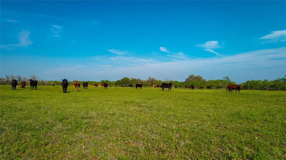 County Road 404 Floresville, TX 78114