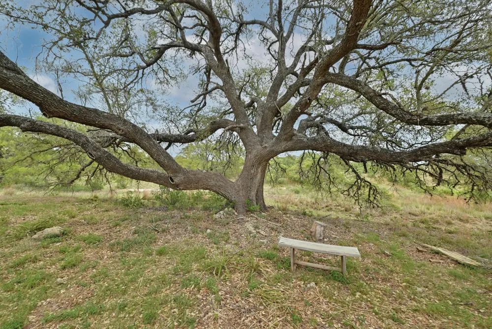 195 Cypress View Drive Johnson City, TX 78636