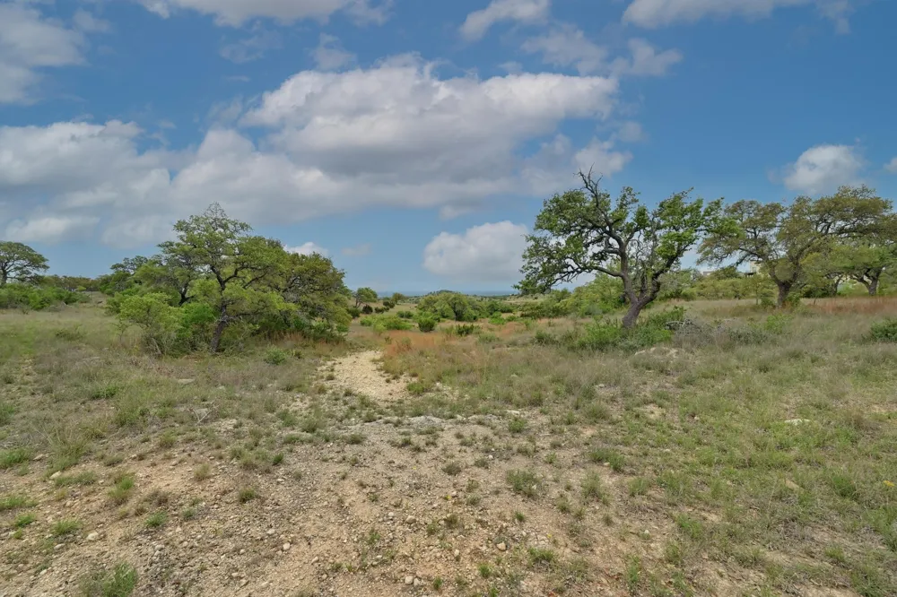 195 Cypress View Drive Johnson City, TX 78636