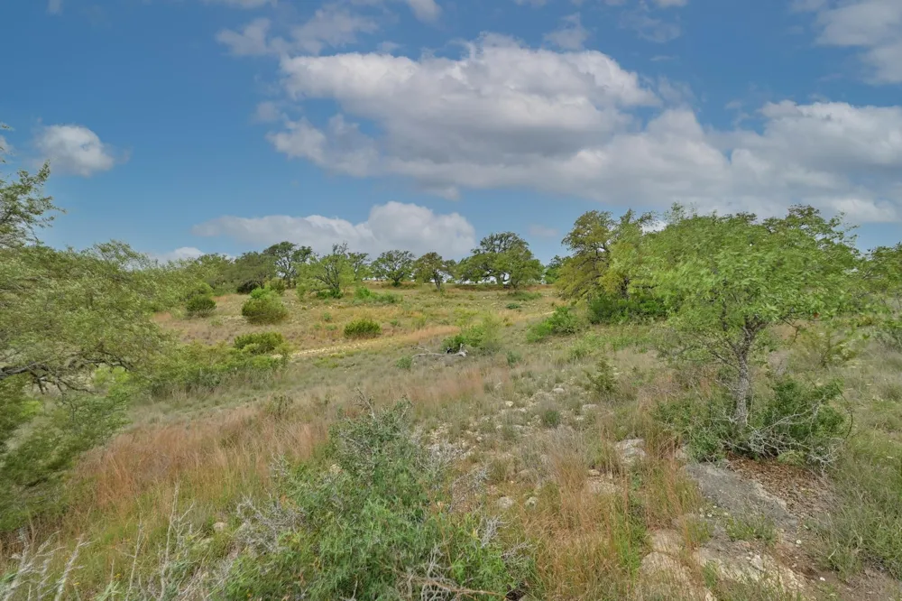 195 Cypress View Drive Johnson City, TX 78636