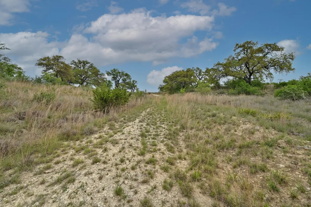 195 Cypress View Drive Johnson City, TX 78636